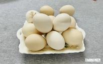 Nên ăn trứng như thế nào để bảo vệ sức khỏe tim mạch?