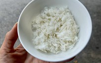 Cơm nguội có thật sự giúp kiểm soát đường huyết?