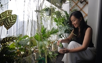 Chi tiền triệu làm góc chill riêng tư nơi ban công