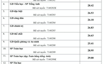Điểm chuẩn ngành sư phạm toán tiếng Anh Trường ĐH Sư phạm Hà Nội là 29