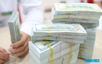 Giá USD hôm nay 17.8.2026: Ngân hàng đứng yên trong khi euro, bảng Anh bật tăng