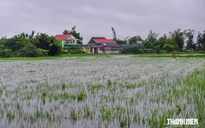 2 người bị sét đánh thương vong