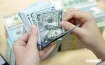 Giá USD hạ nhiệt, vàng mất sức hút