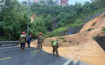 Quảng Ninh di dời gần 400 người vì sạt lở đất