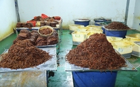 Tin tức đặc biệt trên báo in Thanh Niên 26.8.2026