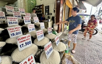 Nâng cấp thương mại gạo Việt Nam - Philippines