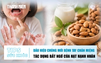 Bản tin sức khỏe 27.8: Dấu hiệu chủng mới bệnh tay chân miệng | Tác dụng bất ngờ của hạt hạnh nhân