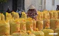 Gạo Việt Nam ứng phó với chiêu trò 'làm giá' của nhà nhập khẩu thế nào?