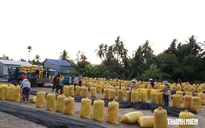 Tin tức đặc biệt trên báo in Thanh Niên 11.9.2026
