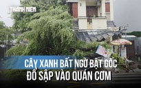 Khoảnh khắc cây xanh bật gốc đè sập quán cơm: Người đàn ông đi xe máy thoát nạn khó tin