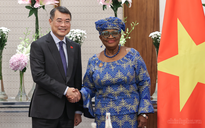 Việt Nam là minh chứng tiêu biểu cho sự thành công của WTO