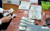 Giá USD hôm nay 12.9.2026: Giảm mạnh trong tuần qua