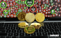 Giá Bitcoin hôm nay 13.9.2026: Tuần sóng gió của tiền số