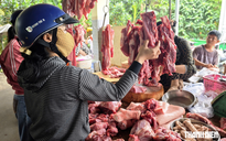 Giá heo hơi hôm nay 17.9.2026: Đứt mạch tăng