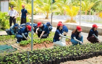 Đất liền gửi triệu mầm xanh ra Trường Sa