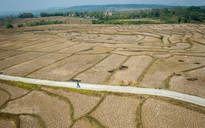 Siêu El Nino và phép thử ứng phó toàn cầu