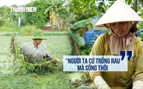 Sau 27 năm quy hoạch công viên, cuộc sống giữa những ruộng rau nhút ở Thới An giờ ra sao?