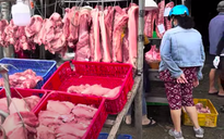 Giá heo hơi hôm nay 28.9.2026: Đà giảm chưa dứt
