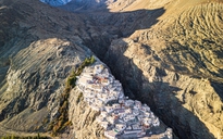 Sức sống mãnh liệt giữa mây ngàn khắc nghiệt Himalaya