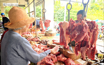 Giá heo hơi hôm nay 5.9.2026: Thị trường lặng sóng