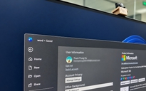 Microsoft Word sắp xóa bỏ tính năng kiểm tra đạo văn