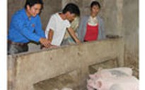 Anh Bí thư đoàn xã làm kinh tế giỏi