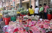 Dịp lễ 8.3: Thị trường hoa 'kém sắc'