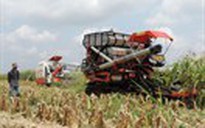 HAGL công bố ‘siêu dự án’ nông nghiệp tại Campuchia