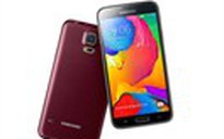 Galaxy S5 màn hình 2K chỉ bán ở Hàn Quốc