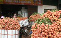 Xuất khẩu trái cây sang Mỹ: Cửa đã mở, nhưng chưa thể mừng
