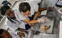 Quân đội Mỹ, bác sĩ Cuba sẽ bắt tay cùng chống Ebola