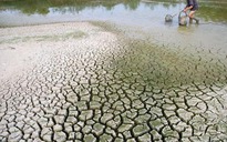 Biến đổi khí hậu làm gia tăng nguy cơ sa mạc hóa tại Việt Nam