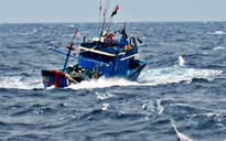 Cứu sống 13 ngư dân trên tàu cá bị chìm