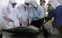 Hủy xuất khẩu lô hàng cá ngừ để giữ uy tín