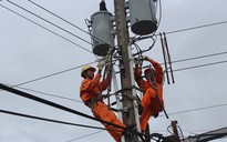 Báo động nạn trộm điện ở Lâm Đồng