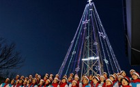 Hàn Quốc dựng lại ‘cây Giáng sinh’ gần biên giới Triều Tiên