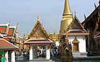 Du lịch sinh thái - tham quan trang trại - câu cá sấu - cưỡi đà điểu - tát mương bắt cá - tắm sông Cổ Chiên