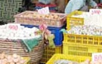Những mẫu trứng nghi ngờ không phải trứng gà giả
