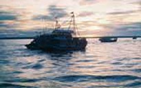 Chuyện kể về “đường mòn Hồ Chí Minh” trên biển: Huyền thoại những con tàu