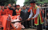 Kêu gọi chấm dứt lễ hội ‘chém lợn phanh thây’ ở Bắc Ninh