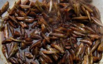 Cá lòng tong kho cứng mình