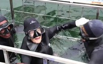 Mừng sinh nhật thứ 100, bà cố lặn biển cho cá mập ăn