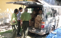 Tây Ninh điều tra vụ vận chuyển gỗ lậu bằng xe 16 chỗ