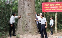 Tây Ninh đón bằng công nhận hai cây di sản VN