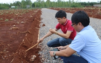 Nhiều dự án 'ma' Alibaba dùng đất, đá che lấp đường làm trái phép để 'ngụy trang'