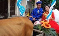 Trai Tây rước vợ Việt bằng xe bò trong ngày cưới