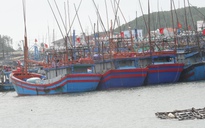 Quảng Ngãi: Hàng trăm tàu cá nằm bờ không ra khơi, chờ giá nhiên liệu xuống