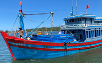 Tàu cá Quảng Ngãi bị cướp tài sản trên biển, một ngư dân bị bắn trọng thương