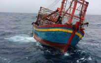 Quảng Ngãi: Sóng biển đánh chìm tàu cá, 2 ngư dân mất tích