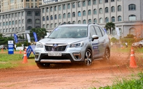 Subaru đưa ra giải pháp trị ‘cá vàng nổi’ trên xe Forester